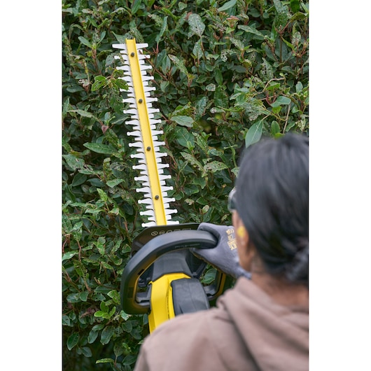 STANLEY SFMCHT650D1 hedge trimmer cutting green shrubbery in an outdoor setting, rear angle view.