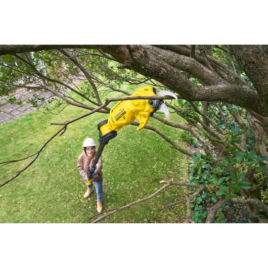 STANLEY SFMCPP632D1 cordless yellow pole pruner cutting a tree branch in outdoor garden.