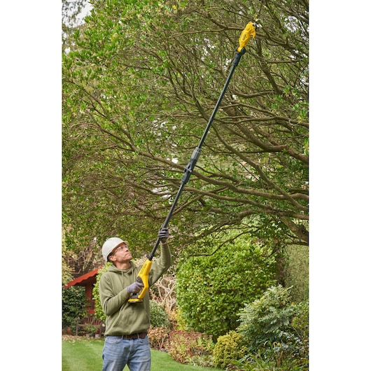 Photo of STANLEY SFMCPP632D1 pole saw being used to trim high tree branches in a garden.