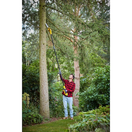 STANLEY SFMCPS620B pole saw in use trimming high tree branches in a garden.